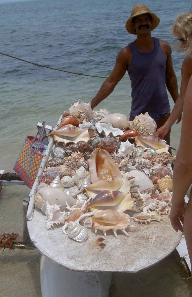 Halt! Nur Anschauen, nicht kaufen.
Ein Einheimischer bietet diverse Schnecken zum Kauf an. Wer keine Probleme mit dem Zoll haben will, sollte sich den Kauf verkneifen.
Mauritius, November 2006.