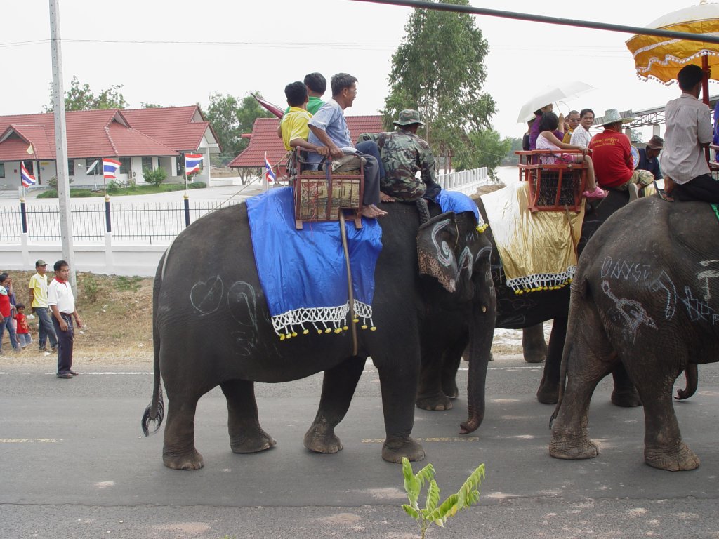 Im Jahr 2008 ist eine  Prozession  mit mehreren asiatischen Elefanten unterwegs zum Tempel um dort eine Geldspende zur Erweiterung des Tempels zu bergeben.