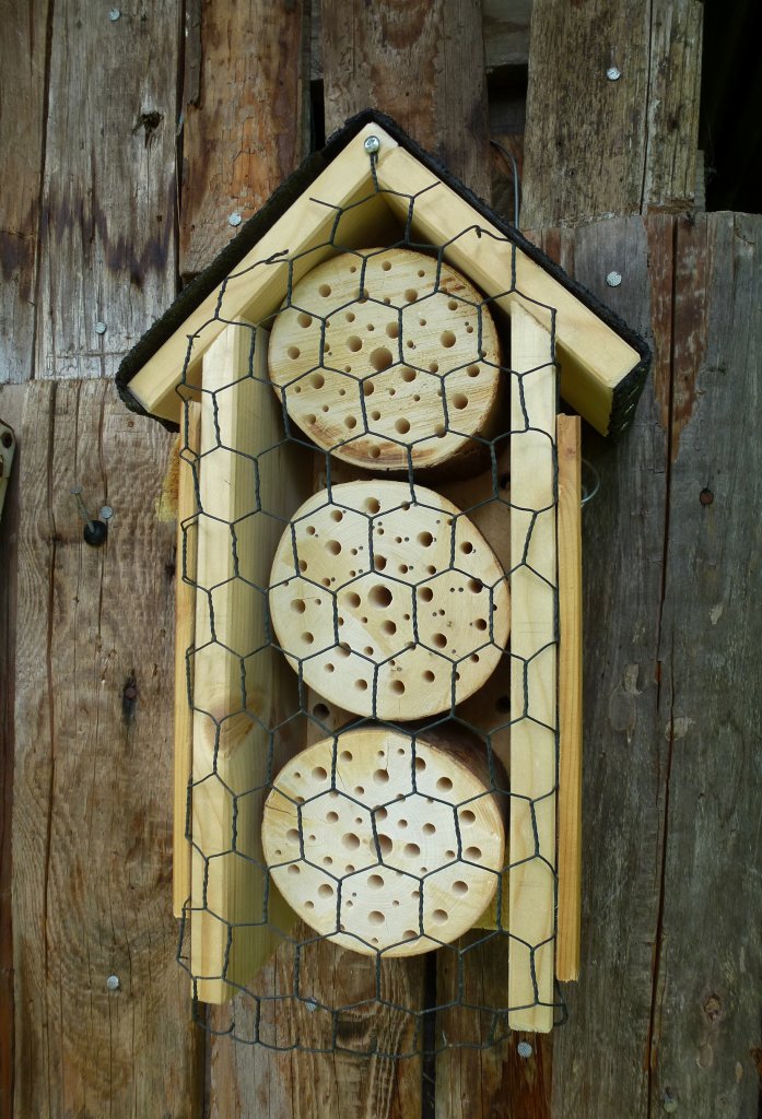 Insektenhotel, Marke Eigenbau hngt seit gestern im Garten, Juni 2013