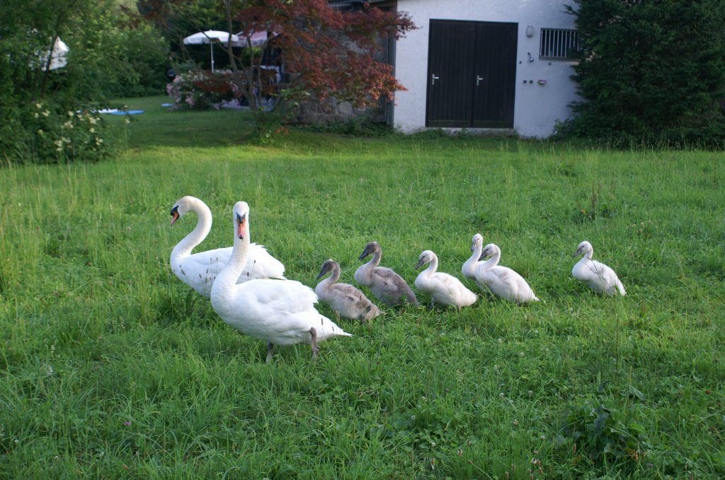 Nette kleine Familie auf dem Sonntagsausflug.