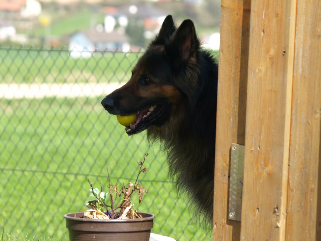 Niko vom Sonnenstern
Wer spielt mit mir?