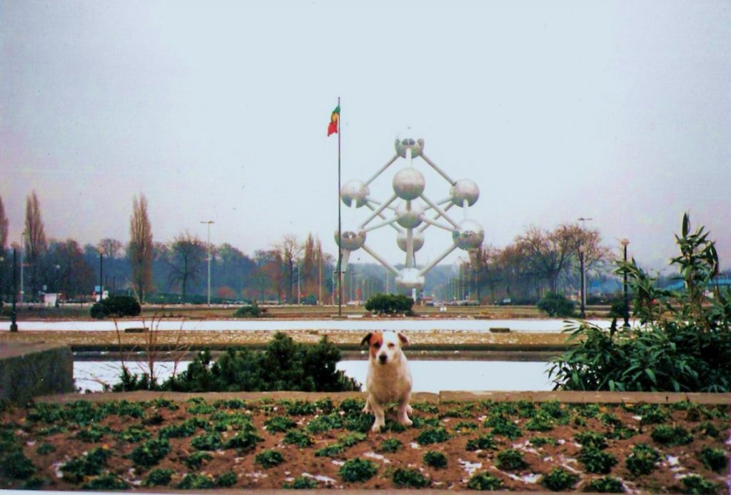 Pucki(*Mrz 1986/+April 2000) vorm Atomium in Brssel im Februar 1996.Das Foto wurde auf dem Expo.-Gelnde gemacht.