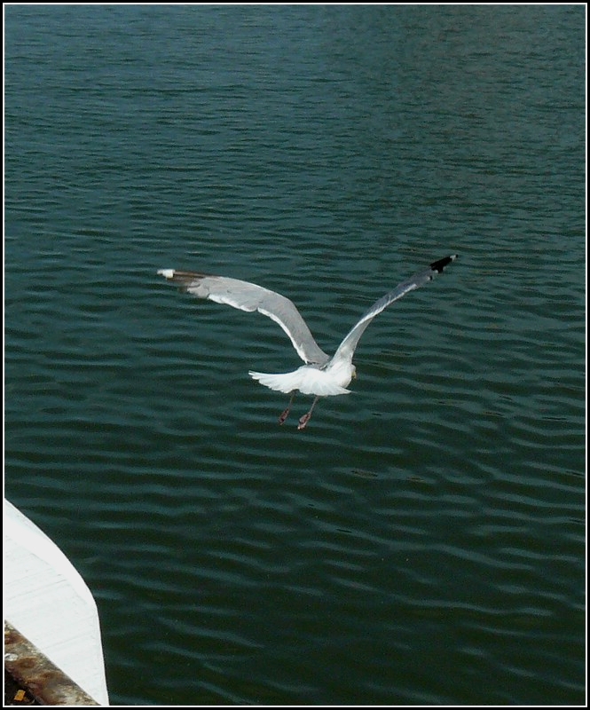 Sonst mach ich mich auf und davon. Oostende 11.08.2010 (Hans)