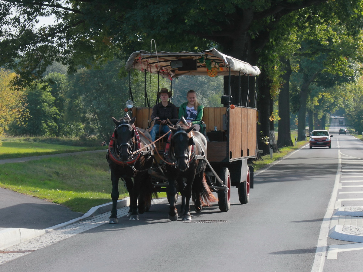 Auf der B 115 fhrt eine Kutsche an der Lausitzer Neie in Richtung Bad Muskau am 03. Oktober 2015.