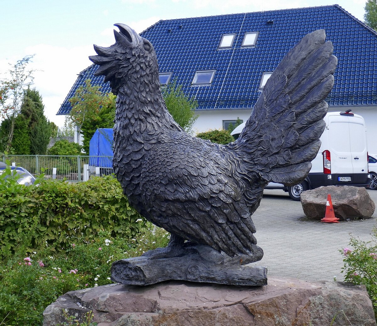 der Auerhahn stehr vor dem Hotel-Restaurant Auerhahn in Bad Wildbad/Nordschwarzwald, Sept.2026