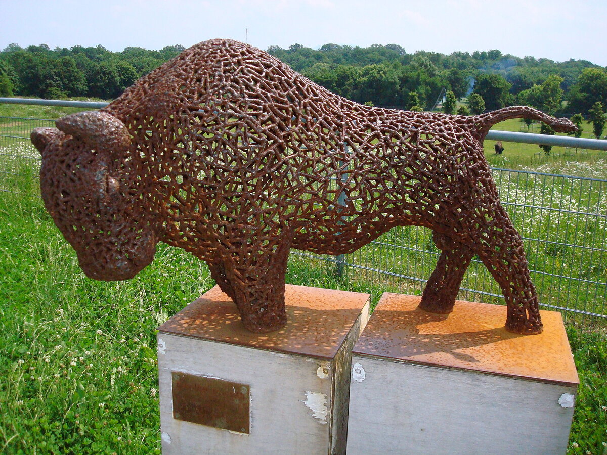  Eisenbison  geschweit, steht im Freiburger Haustierzoo  Mundenhof , Juni 2008