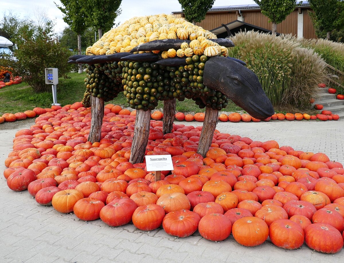 Feldkirch im Markgrflerland, Krbis-Kunst auf dem Bohrerhof,  Sauropelta , Sept.2021