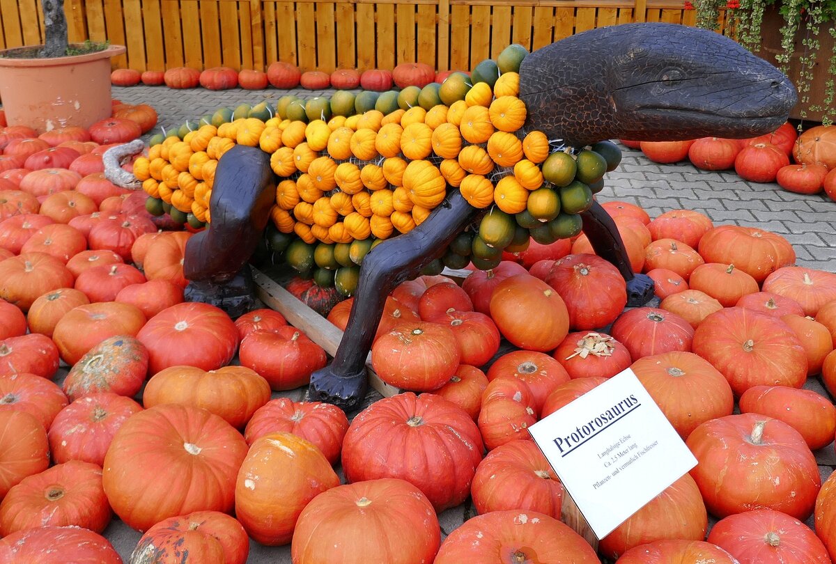 Feldkirch im Markgrflerland, Krbis-Kunst auf dem Bohrerhof,  Protorosaurus , Sept.2021