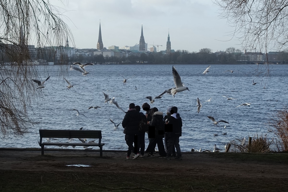 Hamburg am 2.2.2022: Mwenfttern an der Hamburger Auenalster /