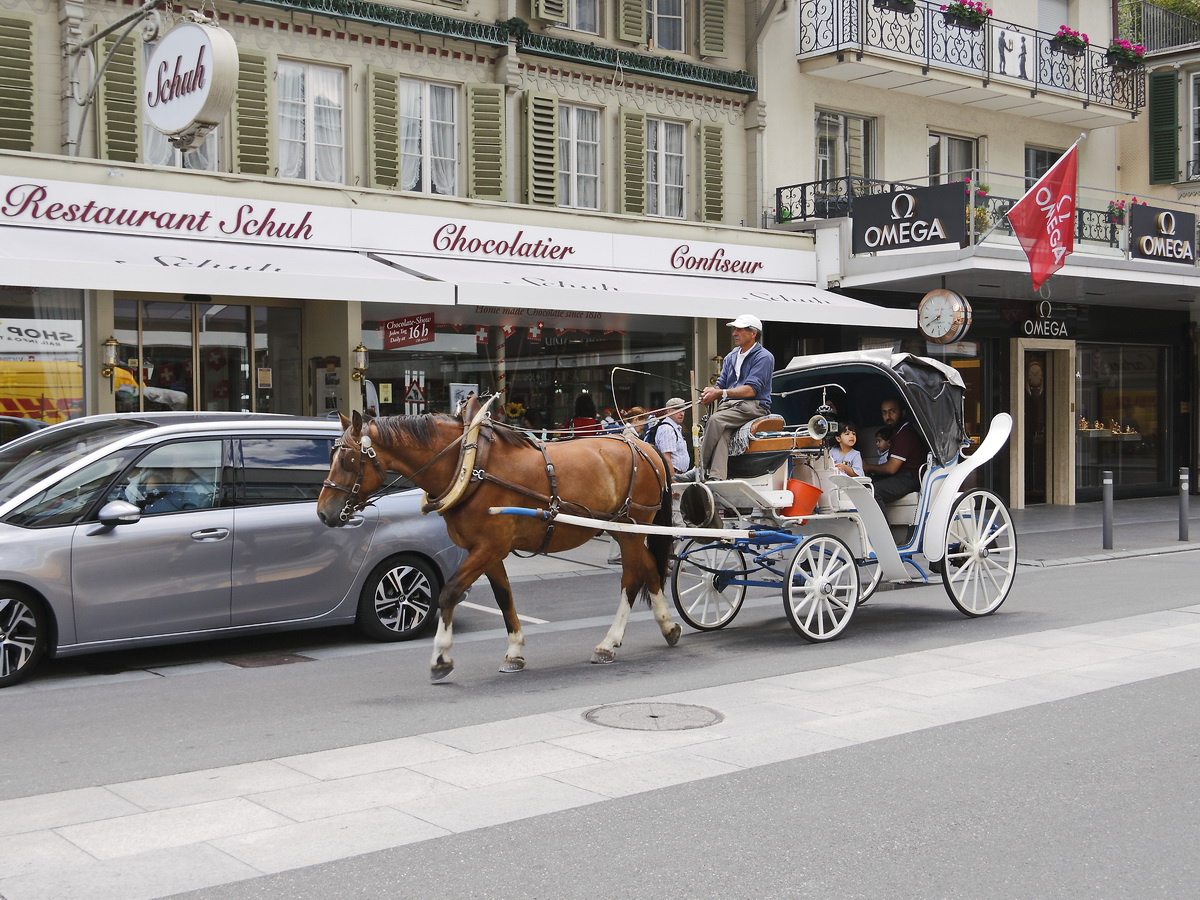 Pferd mit Kutsche auf dem Hhenweg in Interlaken am 25. Juni 2018