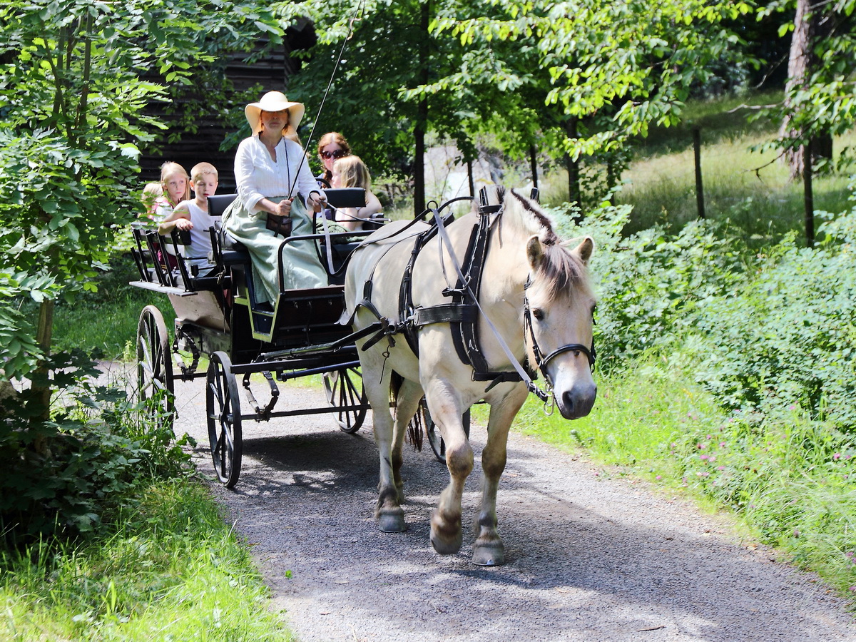 Pferd mit Kutsche im Norsk Folkemuseum (Norwegen) am 04. Juli 2016.