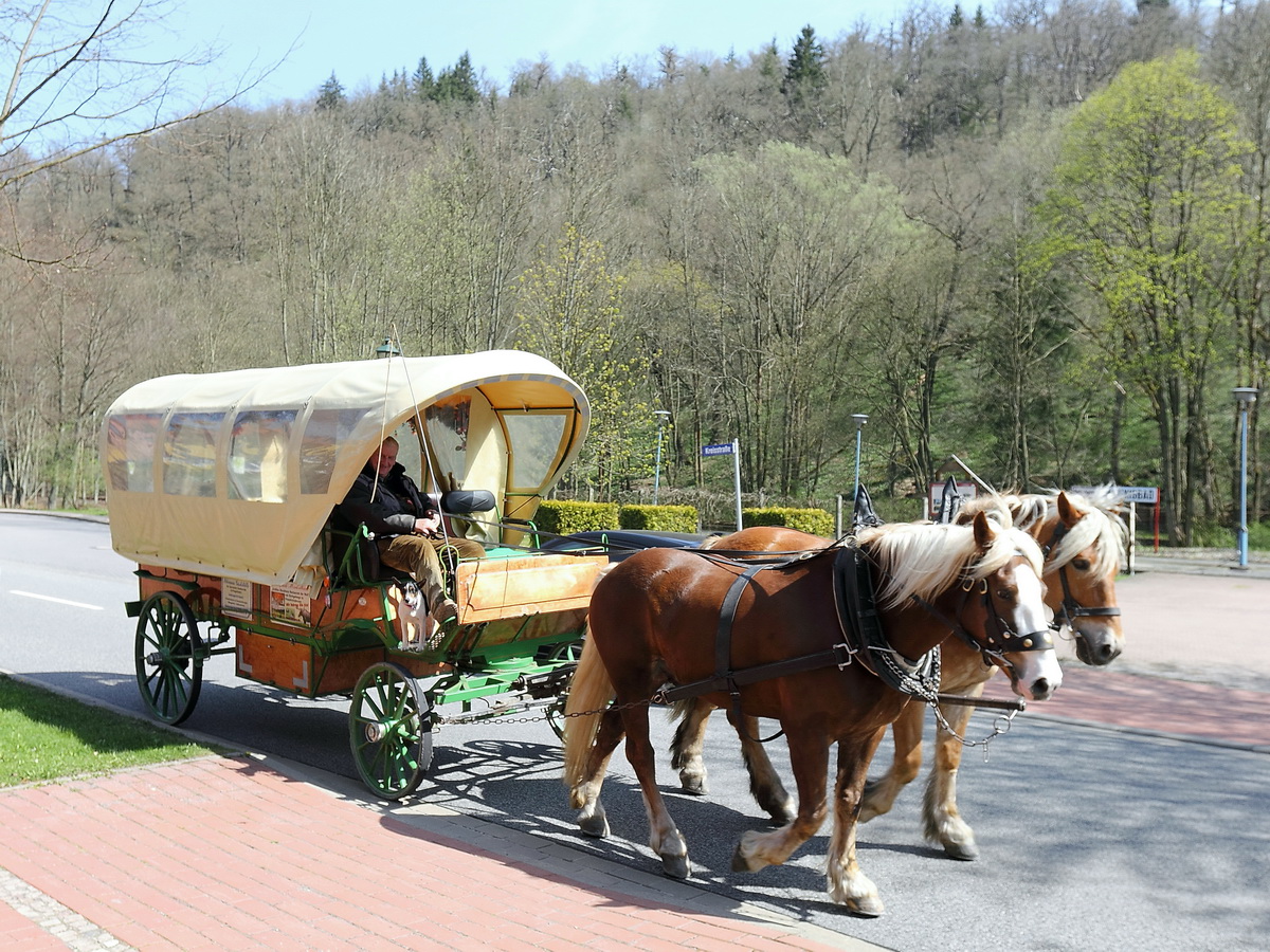 Pferde mit Kutsche und Hund sowie Kutscher  am 24. April 2015 in Alexisbad / Harzgerode.  