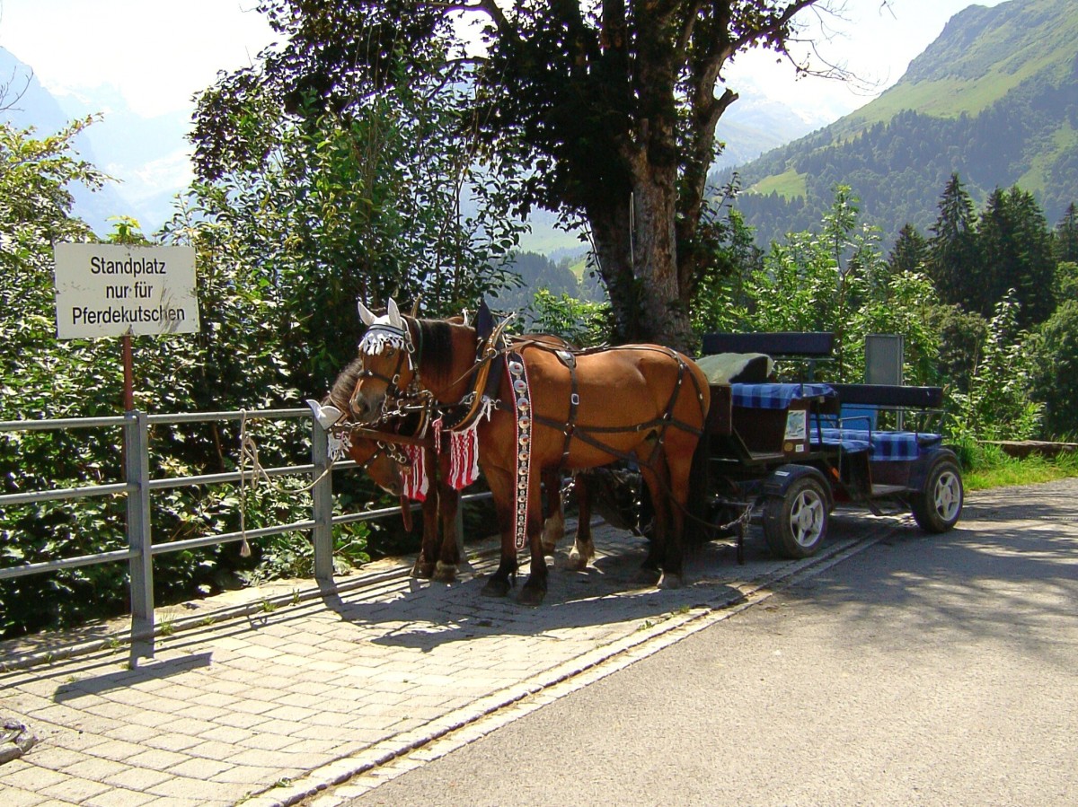 Pferdekutsche in Braunwald, Kt. Glarus, Schweiz. Auf der gemtlichen Fahrt in der Pferdekutsche durch das autofreie Braunwald, im Sommer wie im Winter, kommt man an den weitverstreuten Bauernhfen im typischen Glarner Baustil und schmucken Chalets vorbei. Die Pferdekutschen stehen tglich bei der Standseilbahn-Bergstation zum Mitfahren bereit - 02.08.2011