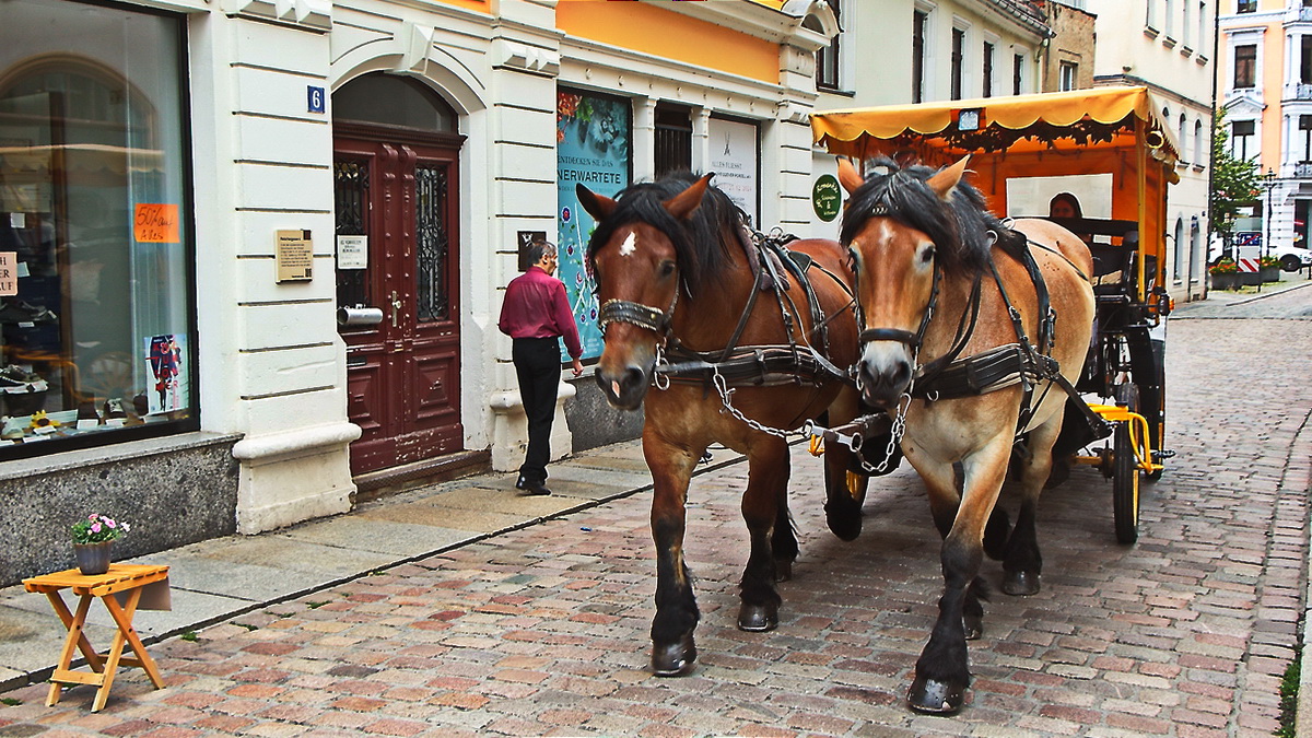 Pferdekutsche in Meißen am 2. Juli 2023 in der Fußgängerzone.