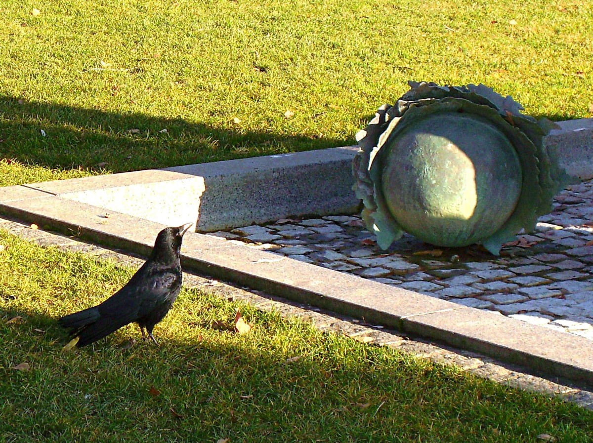 Rabe in Ekstase. Aufgenommen am 23.12.2008 in Montreux, Schweiz, am Brunnen von Jens-Flemming Srensen (Baujahr 1988)