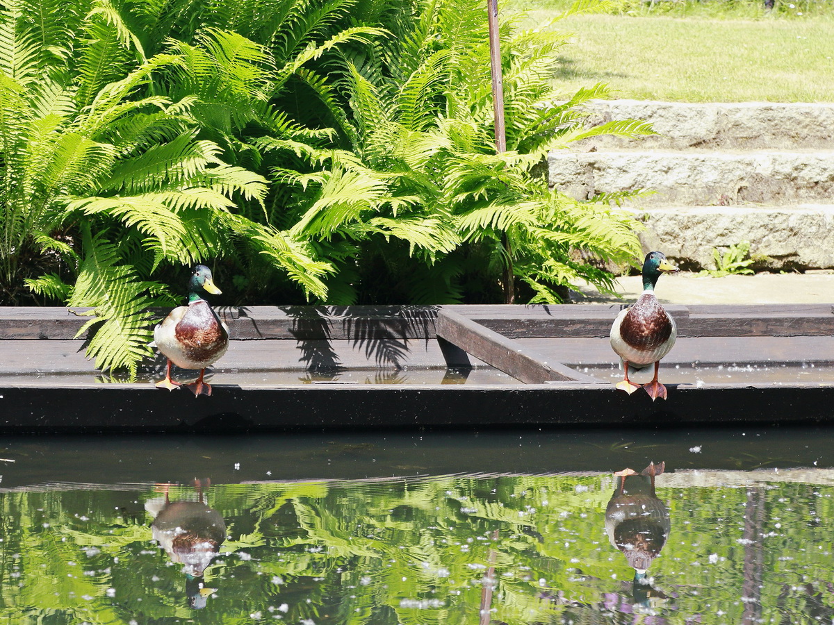 Spalier stehen auf einen Kahn in der Hauptspree nahe Lbben am 12. Juni 2019.