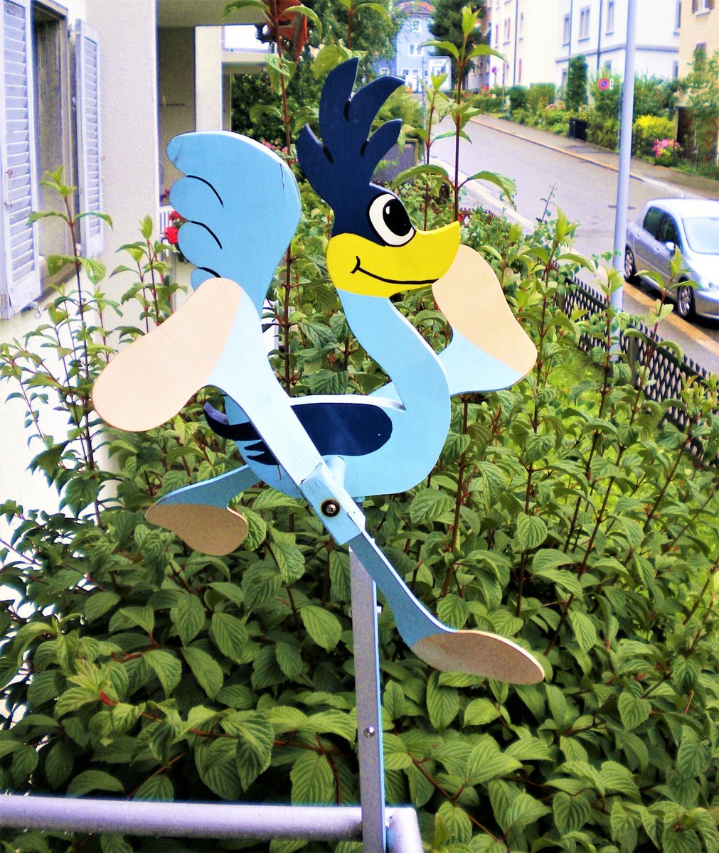 Wegekuckuck als Wetterfahne („Road Runner“ in den Cartoons der Warner Brothers) - 20.07.2011