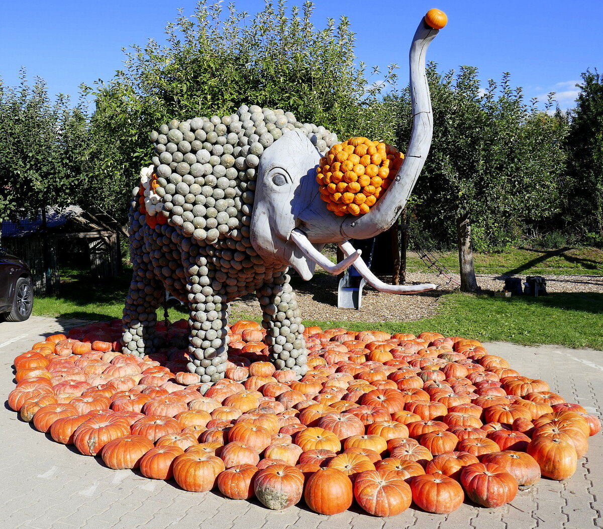  Zirkuselefant , Krbis-Kunst auf dem Bohrerhof in Feldkirch/Markgrflerland, Sept.2022