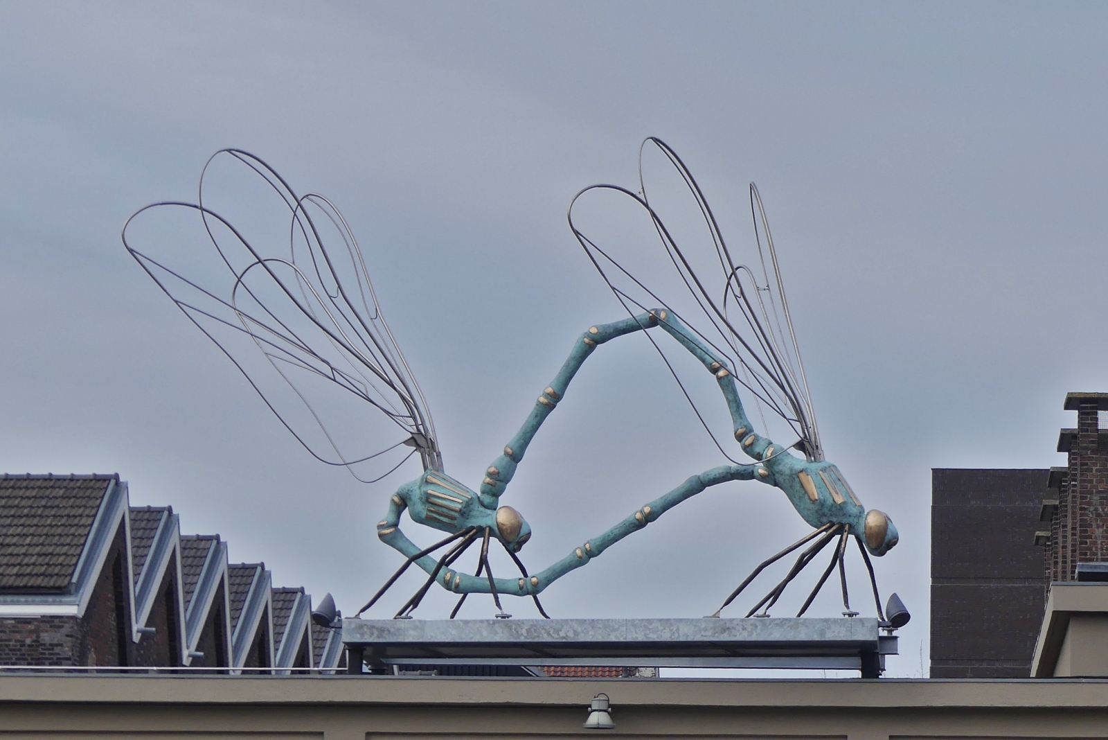 Ein Libellenrad auf einem Hausdach in Maastricht. 03.2026