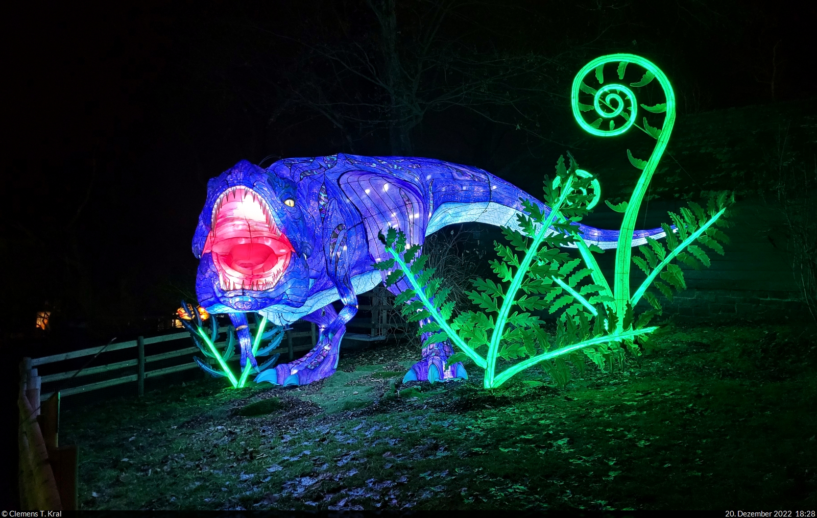 Magische Lichterwelten im Bergzoo Halle (Saale) (2)

Ein sich bewegender Dinosaurier unbekannter Art war Teil der Ausstellung  Lost Worlds , welche die urzeitliche Tierwelt prsentierte.

🕓 20.12.2022 | 18:28 Uhr