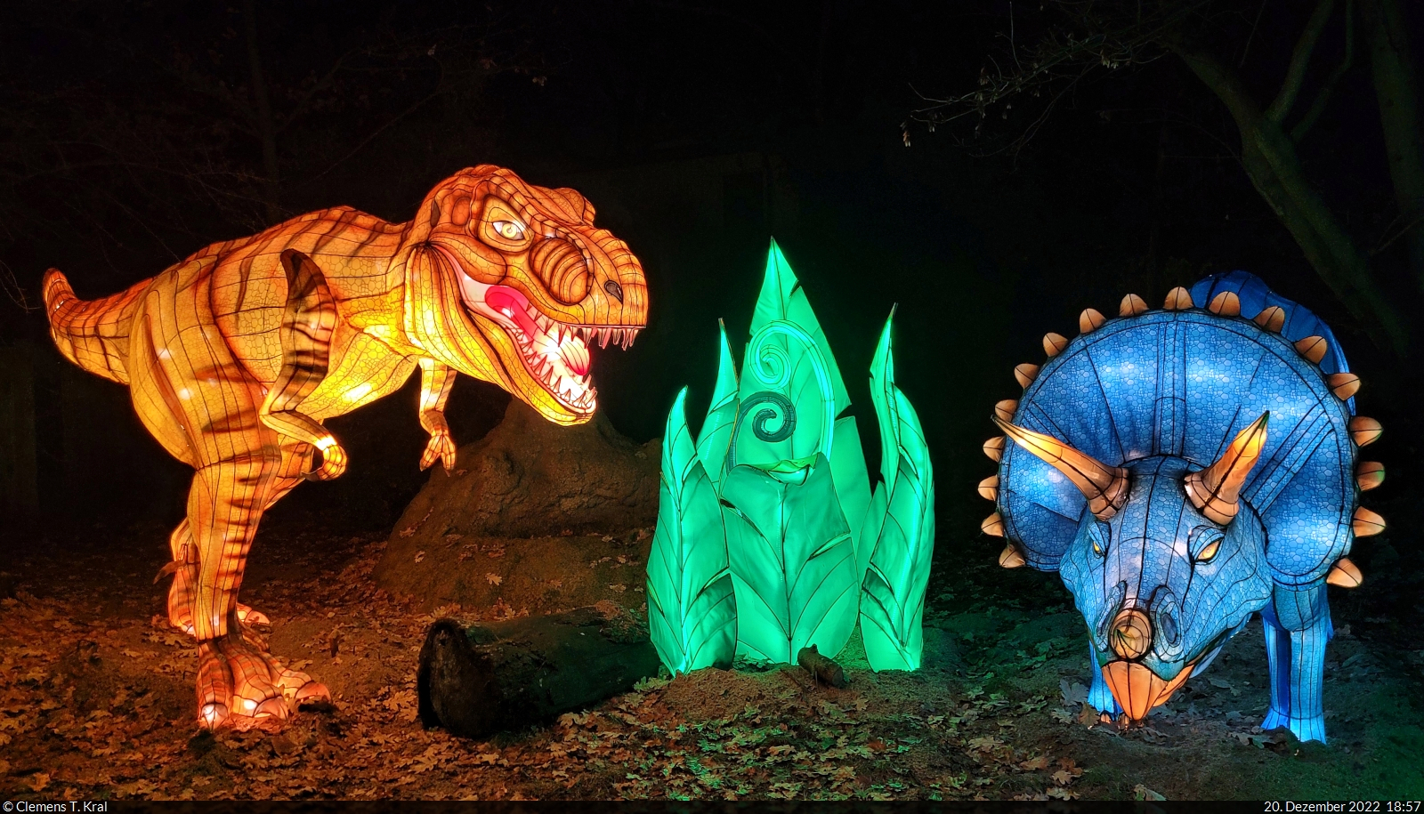 Magische Lichterwelten im Bergzoo Halle (Saale) (6)

Ensemble aus urzeitlichen Tieren und Pflanzen, angelehnt an die Jurassic-Park-Welt.

🕓 20.12.2022 | 18:57 Uhr