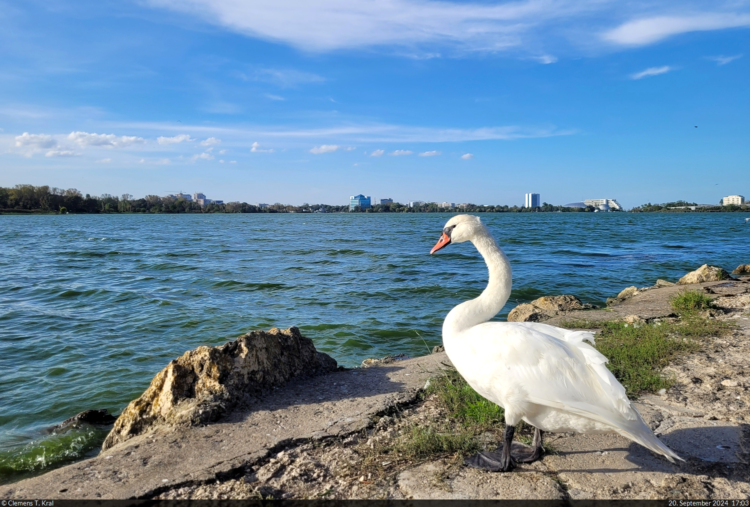 Schwantastische Aussicht auf den Lacul Tăbăcăriei in Constanța (RO).

🕓 20.9.2024 | 17:03 Uhr
