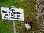  Ich versprech´s, schreite nicht ber die Gleise  scheint der Blick dieser Katze am Bhf.