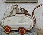 Katze im Kinderwagen