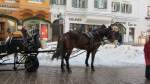 Eine Pferdekutsche wartet in Kitzbhel auf Kundschaft.(26.12.2011)