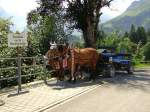 Pferdekutsche in Braunwald, Kt.