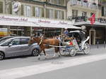 Pferd mit Kutsche auf dem Höhenweg in Interlaken am 25.