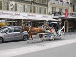 Pferd mit Kutsche auf dem Hhenweg in Interlaken am 25.