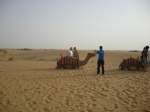 Ein Kamel in der arabischen Wste mit seinem Fhrer.(31.7.2010)