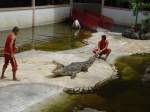 In einer Krokodilfarm in Bangkok am 03.10.2006