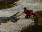 Am 03.10.2006 in einer Krokodilfarm in Bangkok