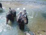 2009 in einem Elefantencamp bei Chiang Mai im Norden Thailands.