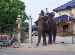 Ein asiatischer (thailndischer) Elefant mit seinem Mahout bei mir zu Hause in Thailand