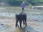 Ein asiatischer Elefant und sein Mahout in einem Elefantencamp in der Nhe von Chiang Mai im Norden Thailands