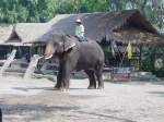 2009 in einem Elefantencamp bei Chiang Mai im Norden Thailands.
