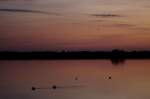 Der Lac du Der ist der grte Staussee in Frankreich.