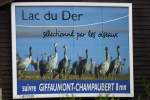 Auf ihrem gut 4.000 km langen Zugweg von Nordeuropa in die spanische Extremadura legen die groen Kranichgruppen jeden Herbst einen langen Zwischenstopp am Lac du Der in der sdlichen Champagne ein.