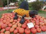 Feldkirch im Markgrflerland, Krbis-Kunst auf dem Bohrerhof,  Dimetrodon , Sept.2021