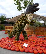 Feldkirch im Markgrflerland, Krbis-Kunst auf dem Bohrerhof,  Tyrannosaurus rex , Sept.2021