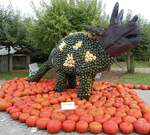 Feldkirch im Markgrflerland, Krbis-Kunst auf dem Bohrerhof,  Triceratops , Sept.2021