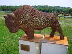  Eisenbison  geschweit, steht im Freiburger Haustierzoo  Mundenhof , Juni 2008