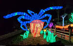 Magische Lichterwelten im Bergzoo Halle (Saale) (3)    Diese riesige LED-Spinne wechselte sekündlich ihre Farbe.