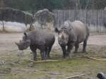 nashrner im zoo krefeld