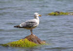 Mwe am Ostseestrand.
