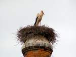 Storch mit Nest auf einem ausgedienten Schornstein (PARCHAL, Distrikt Faro/Portugal, 07.02.2005)