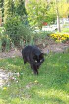 Pauli bei der st�ndlichen  Patroulie  am 22.04.11. 